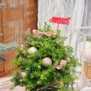 (원데이) 그린 플랜트 | 인천 송도 꽃집에서 만드는 향기로운 생화트리 원데이클래스, 잉글리쉬로즈 송도