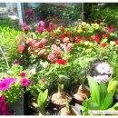 정읍 우체국 이미지