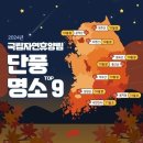 2024년 #국립자연휴양림 #단풍명소 TOP 9 이미지