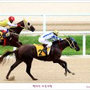 경마공원 이미지