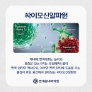 연세원내과의원 이미지