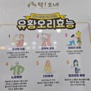 소문난 유황오리 | 지세포 로컬 맛집 탁오네 황칠 유황오리 백숙