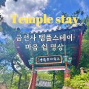 스테이자연도 | [서울 가볼만한곳] 금선사 템플스테이 당일형 템플스테이 후기