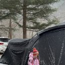 옥당걸숲속관광농원 이미지