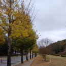 동구리 저수지 위 공원 이미지