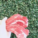 램 (Lamb)