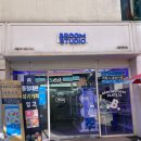 수풀떠들썩파랑나비