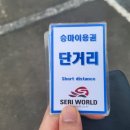 말 한번 타보자ㅣ세리월드 승마 체험 후기