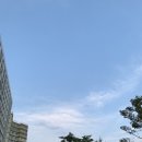 비스트로피자 수원직영점