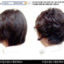 원더파마