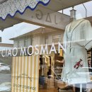 JAG | [관광지] 시드니 모스만 동네 구경하기