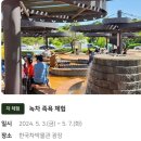 보성다향대축제 5월 아이랑가볼만한곳/전남축제