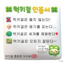 에이치앤에프 이미지