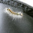 대원숲속어린이집 이미지