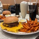 (공연) 빈소년 합창단 신년콘서트 | 롯데콘서트홀 빈 소년 합창단 신년콘서트 관람후기 (+가는법, 주차)