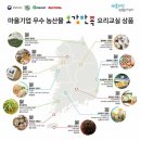 오감만족 요리교실 | 마을기업 우수 농산물 오감만족 요리교실 후기!