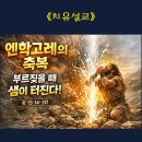 엔학고레