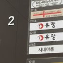 (슈가) 왁싱 오브 나이팅게일 광주점
