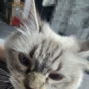 조타 생활과학연구소 이미지