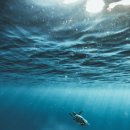 나야NaJa 네이버블로그