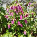 리엔신경과의원 이미지