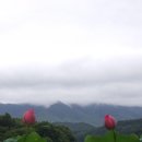 천고만물