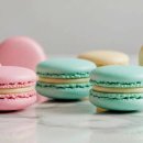 마카롱 이미지