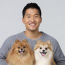 보듬산업