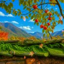 숨어우는 바람소리 이미지