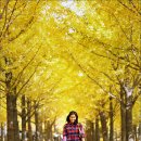 은행나무목장 이미지