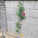 승연농장 이미지