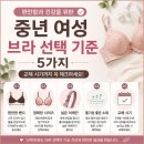 와코루 - 경산시 중앙로 68 | (내돈내산) 와코루 브라 후기(40대~50대 중년 여성 브라 선택 기준 / 제품명 WBRC262)