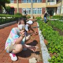 대구남덕초등학교 이미지