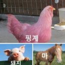 썸띵굿