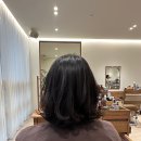 힛트미용실 | 대가없는 사랑