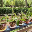 옥구공원숲속도서관 이미지