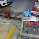 하이카 가로수점 이미지