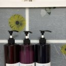 통나무밸리 이미지