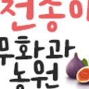 양암 농장 이미지