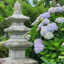 선원2길 이미지