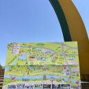 2025년 함평 나비 대축제 후기 (4월 28일 기준)