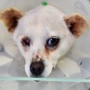 화령북4길 이미지