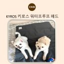 키로스 | 방해금지패드 추천, KYROS 키로스 워터프루프 패드 솔직후기