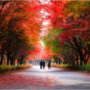 독립기념관 이미지