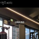 댓츠피티 이미지