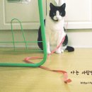 금동이PC 이미지