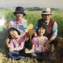 고창) 겔마가호방 (게르마늄 가호방 찜질) 후기