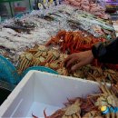 동해-단속-42 이미지