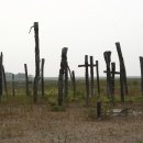 부안시민발전소 | 전국 녹색연합 신입워크샵 후기_광주전남_by전영