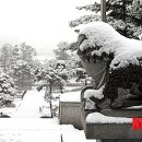 보건복지타운 이미지